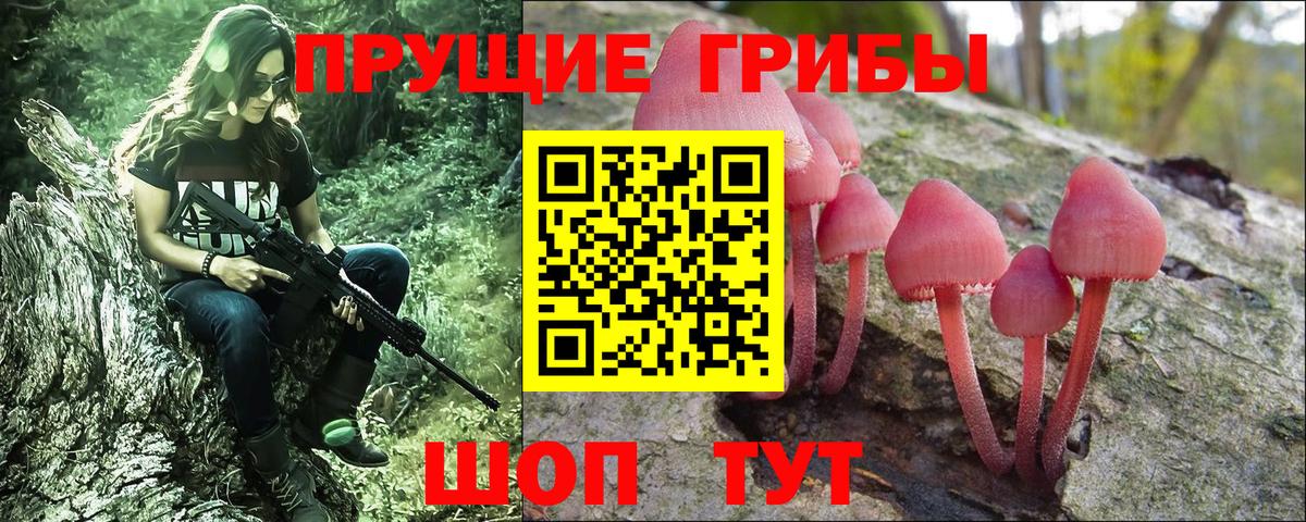 Псилоцибиновые грибы Cubensis Глазов